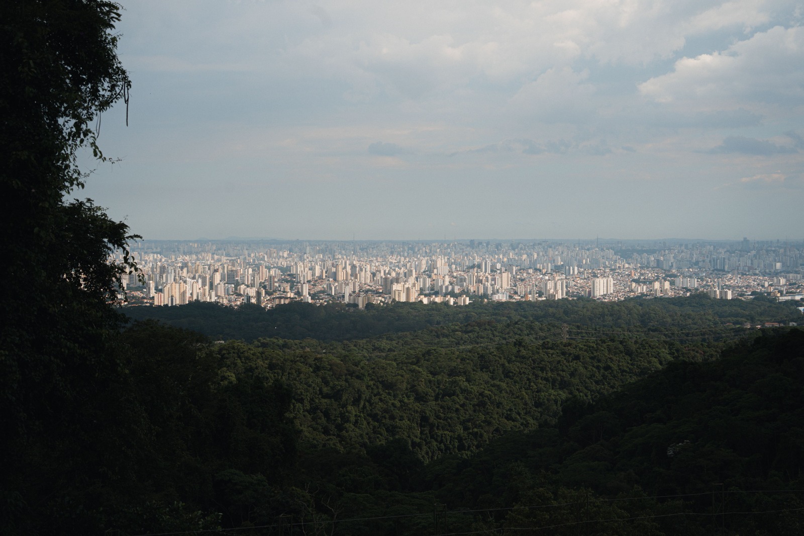 Retail Mind Group doubles down on the Brazilian market